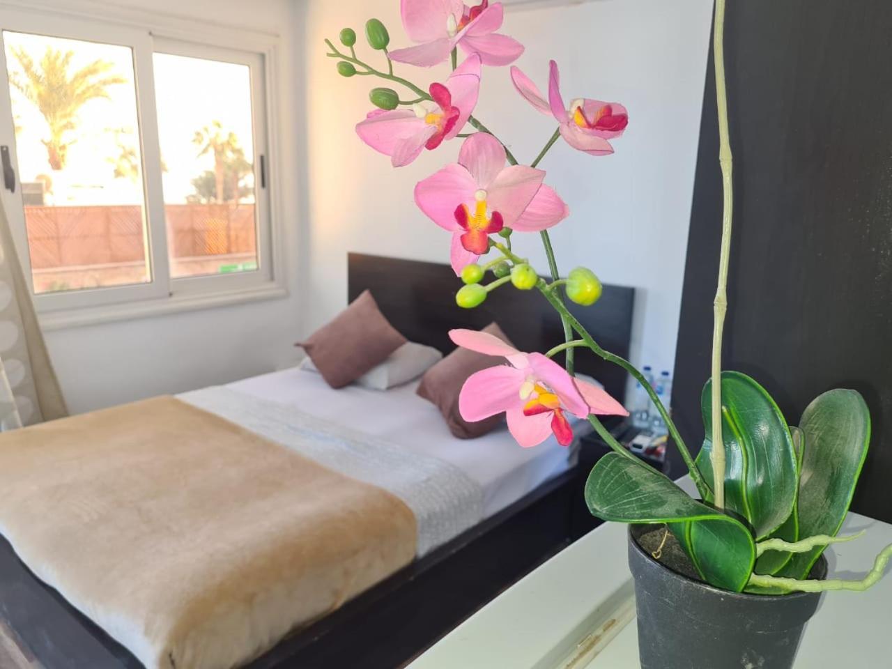 Lilly Rooms And Studio Hurghada Exterior photo
